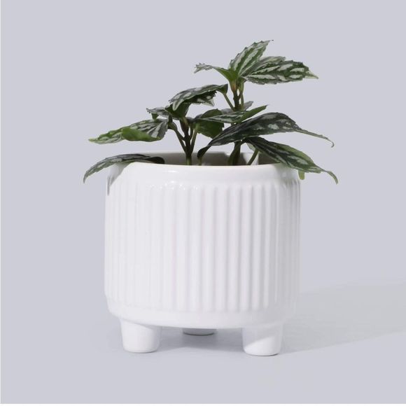 White Ribbed Small Planter Pot with Drainage Hole and Round Feet - Picture 1 of 6